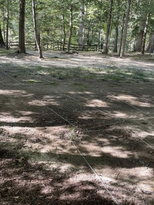 Starkness of the Mount Vernon Burial Site 