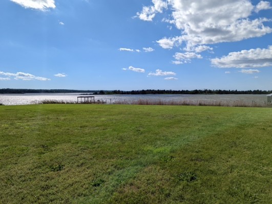 Backyard View Bushfield Manor